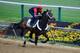 BALTIMORE, MD - MAY 14: Exercise rider Bryan Beccia takes Ride On Curlin over the track in preparation for the 139th Preakness Stakes at Pimlico Race Course on May 14, 2014 in Baltimore, Maryland. (Photo by Rob Carr/Getty Images)
