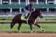 LOUISVILLE, KY - MAY 01: Wicked Strong runs on the track during the morning training for the Kentucky Derby at Churchill Downs on May 1, 2014 in Louisville, Kentucky. (Photo by Andy Lyons/Getty Images)