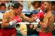 LAS VEGAS - MAY 7: Jose Luis Castillo lands a left on Diego Corrales during their World Lightweight Unification bout on May 7, 2005 at The Mandalay Bay in Las Vegas, Nevada. Corrales won the fight after the referee stopped the fight in the tenth round.