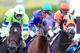 BALTIMORE, MD - MAY 17: California Chrome #3, ridden by Victor Espinoza, races with the field during the 139th running of the Preakness Stakes at Pimlico Race Course on May 17, 2014 in Baltimore, Maryland. (Photo by Rob Carr/Getty Images)