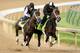 LOUISVILLE, KY - APRIL 27: Intense Holiday, riden by John Velazquez, and We Miss Artie, riden Nick Bush, work out together during the morning exercise session in preparation for the140th Kentucky Derby at Churchill Downs on April 27, 2014 in Louisville,