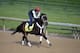 May 1, 2014; Louisville, KY, USA; Exercise rider Bryan Beccia works out Kentucky Derby hopeful Ride on Curlin during morning workouts at Churchill Downs. Mandatory Credit: Jamie Rhodes-USA TODAY Sports
