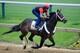 BALTIMORE, MD - MAY 14: Exercise rider Bryan Beccia takes Ride On Curlin over the track in preparation for the 139th Preakness Stakes at Pimlico Race Course on May 14, 2014 in Baltimore, Maryland. (Photo by Rob Carr/Getty Images)