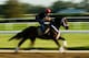 ELMONT, NY - JUNE 03: Ride On Curlin with exercise rider Bryan Baccia up, trains on the main track at Belmont Park on June 3, 2014 in Elmont, New York. He is scheduled to race in the 146th running of the Belmont Stakes (Photo by Al Bello/Getty Images)