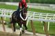 ELMONT, NY - MAY 27: Ride On Curlin with exercise rider Bryan Baccia up, trains on the main track at Belmont Park on May 27, 2014 in Elmont, New York. (Photo by Al Bello/Getty Images)
