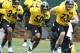 Shazier (50) has been putting to rest any concerns about the Steelers drafting him.