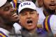 LSU head coach Les Miles