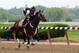 Jun 4, 2014; Elmont, NY, USA; Commanding Curve ridden by exercise rider Emerson Chavez on the track during workouts in preparation for the 2014 Belmont Stakes at Belmont Park. Mandatory Credit: Anthony Gruppuso-USA TODAY Sports