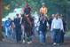 ELMONT, NY - JUNE 04: Kentucky Derby and Preakness winner California Chrome, with exercise rider Willie Delgado up and lead by assistant trainer Alan Sherman heads to the main track to train at Belmont Park on June 4, 2014 in Elmont, New York He is s