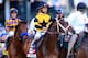 LOUISVILLE, KY - MAY 03: Commanding Curve #17, ridden by Shaun Bridgmohan, takes part in the post parade prior the 140th running of the Kentucky Derby at Churchill Downs on May 3, 2014 in Louisville, Kentucky. (Photo by Rob Carr/Getty Images)