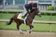 Wicked Strong ran well at the Derby and is rested after skipping the Preakness.