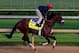 LOUISVILLE, KY - MAY 01: Kentucky Derby contender Wicked Strong works during early morning workouts at Churchill Downs on May 1, 2014 in Louisville, Kentucky. (Photo by Jamie Squire/Getty Images)