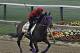 Social Inclusion practices at the Preakness.