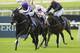 KILDARE, IRELAND - MAY 25: Joseph O'Brien riding Adelaide win The Airlie Stud Gallinule Stakes at Curragh racecourse on May 25, 2014 in Kildare, Ireland. (Photo by Alan Crowhurst/Getty Images)