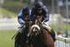 CHESTER, UNITED KINGDOM - MAY 11: Papal Bull ridden by Keiron Fallon leads Primary ridden by Frankie Dettori as they win the MBNA Europe Bank Chester Vase race during the May Festival at Chester Racecourse on May 11, 2006 in Chester, England. (Photo by