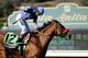 Goldencents, last year's Breeders' Cup Dirt Mile champion is a long shot in the Met Mile.