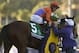 Beholder, last year's Breeders' Cup Distaff winner is the 7-5 morning line favorite for the Ogden Phipps