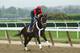 ELMONT, NY - JUNE 04: Ride On Curlin with exercise rider Bryan Baccia up, trains on the main track at Belmont Park on June 4, 2014 in Elmont, New York He is scheduled to race in the 146th running of the Belmont Stakes (Photo by Al Bello/Getty Images