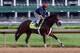LOUISVILLE, KY - MAY 01: Wicked Strong runs on the track during the morning training for the Kentucky Derby at Churchill Downs on May 1, 2014 in Louisville, Kentucky. (Photo by Andy Lyons/Getty Images)