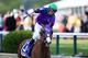 BALTIMORE, MD - MAY 17: Victor Espinoza celebrates atop California Chrome #3 after winning the 139th running of the Preakness Stakes at Pimlico Race Course on May 17, 2014 in Baltimore, Maryland. (Photo by Rob Carr/Getty Images)