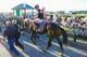Tonalist is the latest upset winner at the Belmont to extend the Triple Crown drought