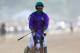 ELMONT, NY - JUNE 07: California Chrome #2, ridden by Victor Espinoza, walks down the track after losing the 146th running of the Belmont Stakes at Belmont Park on June 7, 2014 in Elmont, New York. (Photo by Streeter Lecka/Getty Images)