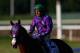 ELMONT, NY - JUNE 07: California Chrome #2, ridden by Victor Espinoza, walks down the track after losing the 146th running of the Belmont Stakes at Belmont Park on June 7, 2014 in Elmont, New York. (Photo by Streeter Lecka/Getty Images)
