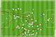 Jermaine Jones' "shots," "distribution," "defensive" and "ball possessions" chart