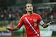 Russia captain Roman Shirokov will miss the World Cup