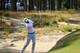 PINEHURST, NC - JUNE 10: Adam Scott of Australia hits a shot from a bunker during a practice round prior to the start of the 114th U.S. Open at Pinehurst Resort & Country Club, Course No. 2 on June 10, 2014 in Pinehurst, North Carolina. (Photo by Mike E