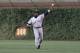 Gwynn also won five Gold Gloves for his defensive prowess.