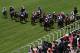 ASCOT, ENGLAND - JUNE 18: The Field in action during the Royal Hunt Cup on day two of Royal Ascot at Ascot Racecourse on June 18, 2014 in Ascot, England. (Photo by Steve Bardens/Getty Images)