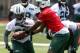 Chris Johnson gives the Jets a new dimension of explosiveness.