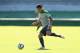 CURITIBA, BRAZIL - JUNE 22: Tim Cahill of the Socceroos kicks during an Australian Socceroos training session and press conference at Estadio Couto Pereira on June 22, 2014 in Curitiba, Brazil. (Photo by Cameron Spencer/Getty Images)