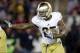 Tarean Folston will likely start the season as Notre Dame's top running back.