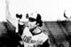 A two-time Gold Glove winner, Andy Messersmith was among the poorest-fielding pitchers of his era.