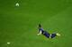SALVADOR, BRAZIL - JUNE 13: Robin van Persie of the Netherlands scores the team's first goal with a diving header in the first half during the 2014 FIFA World Cup Brazil Group B match between Spain and Netherlands at Arena Fonte Nova on June 13, 2014 in S