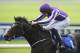 KILDARE, IRELAND - MAY 25: Joseph O'Brien riding Adelaide win The Airlie Stud Gallinule Stakes at Curragh racecourse on May 25, 2014 in Kildare, Ireland. (Photo by Alan Crowhurst/Getty Images)