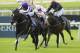 KILDARE, IRELAND - MAY 25: Joseph O'Brien riding Adelaide win The Airlie Stud Gallinule Stakes at Curragh racecourse on May 25, 2014 in Kildare, Ireland. (Photo by Alan Crowhurst/Getty Images)