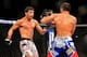 Feb 15, 2014; Jaragua do Sul, SC, Brazil; Lyoto Machida (red gloves) fights against Gegard Mousasi (blue gloves) during UFC Fight Night Machida vs Mousasi at Arena Jaragua. Mandatory Credit: Jason Silva-USA TODAY Sports
