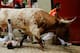PAMPLONA, SPAIN - JULY 13: A steer runs over a reveller during the Fuente Ymbro's fighting bulls running entering the bullring on the eighth day of the San Fermin Running Of The Bulls festival on July 13, 2013 in Pamplona, Spain. The annual Fiesta de San