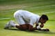 Djokovic thanked the grass first.