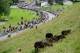July 8, 2012; Belfort-Porrentruy, FRANCE; A general view of the peloton during stage eight of the 2012 Tour de France between Belfort and Porrentruy. Mandatory Credit: Bernard Prevost/Presse Sports via USA TODAY Sports