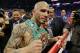 Canelo-Cotto anyone?
