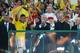 Scolari led Brazil to the Confederations Cup title last year.