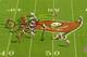 Alonso's assignment on this play is to show blitz, but read the running back at the snap and drop into man coverage.
