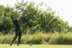 HOYLAKE, ENGLAND - JULY 18: Tiger Woods of the United States watches his tee shot on the 11th hole during the second round of The 143rd Open Championship at Royal Liverpool on July 18, 2014 in Hoylake, England. (Photo by Andrew Redington/Getty Images)