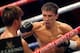Golovkin fights fierce in the ring.