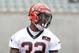 Rookie Jeremy Hill will eat into some of Bernard's carries, just as BenJarvus Green-Ellis did last year.