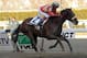 Wood Memorial winner Wicked Strong is a contender in the Jim Dandy.